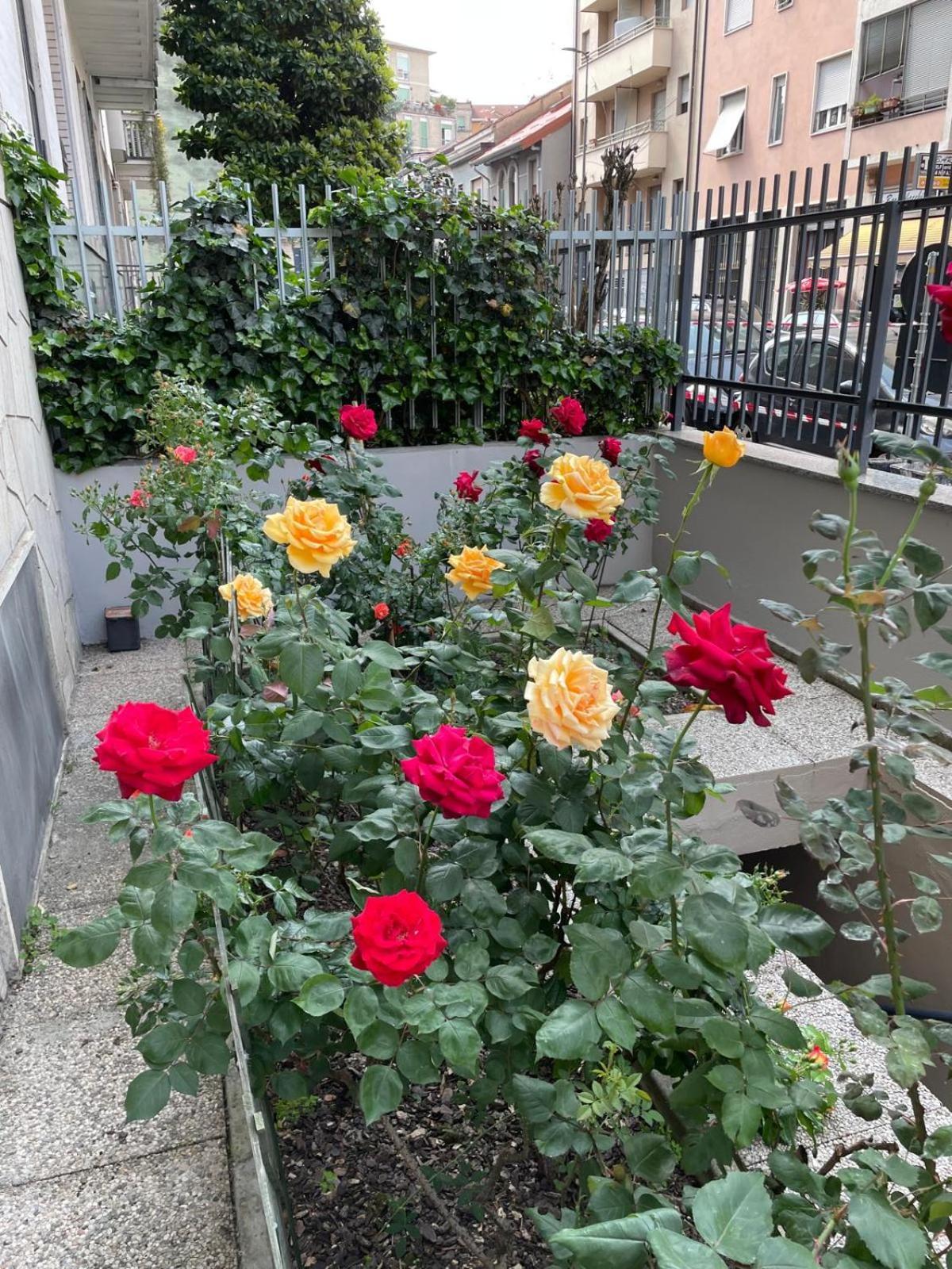 Beautiful In Apartamento